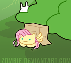 Size: 478x429 | Tagged: safe, artist:zombie, fluttershy, cat, cat pony, original species, pegasus, pony, g4, :3, behaving like a cat, box, cropped, cute, pony in a box, shyabetes