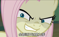 Size: 774x493 | Tagged: safe, edit, edited screencap, editor:wangkingfun, screencap, fluttershy, pony, g4, the mean 6, china, chinese, female, kanji