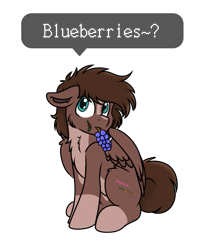 Size: 695x812 | Tagged: safe, artist:rokosmith26, oc, oc only, pegasus, pony, blue eyes, blueberry, brown mane, cheek fluff, chest fluff, chibi, cute, floppy ears, food, leaf, looking up, male, markings, short hair, short mane, simple background, sitting, solo, spread wings, stallion, tail, text, transparent background, wings