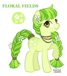 Size: 466x530 | Tagged: safe, artist:nauticaldog, oc, oc only, oc:floral fields, earth pony, pony, braid, female, flower, flower in hair, raised hoof, simple background, solo, white background