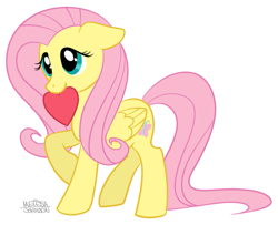 Size: 705x573 | Tagged: safe, artist:nauticaldog, fluttershy, pegasus, pony, g4, cute, female, heart, mouth hold, shyabetes, simple background, solo, white background