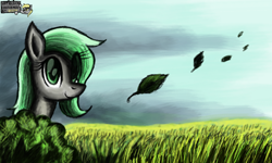 Size: 854x512 | Tagged: safe, artist:dreamyskies, oc, oc:dreamer skies, pegasus, pony, autumn, big eyes, bush, cloud, cloudy, female, field, grass, grass field, happy, leaves, looking at you, mare, pegasus oc, pony oc, rule 63, signature, smiling, solo, wind, wings