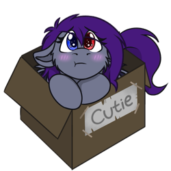 Size: 569x570 | Tagged: safe, artist:rokosmith26, part of a set, oc, oc only, oc:sonar amethyst, bat pony, pony, blushing, box, cheek fluff, chibi, commission, cute, eye clipping through hair, female, floppy ears, heterochromia, looking at you, mare, pony in a box, pouting, puppy dog eyes, roko's box ponies, simple background, solo, tail, text, transparent background, ych result
