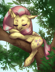 Size: 2290x2980 | Tagged: safe, artist:taytinabelle, fluttershy, pegasus, pony, g4, crossed hooves, cute, ear fluff, eyes closed, female, floppy ears, high res, leaves, mare, shading, shadow, shyabetes, sleeping, solo, tree, tree branch, unshorn fetlocks