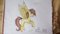 Size: 1080x607 | Tagged: safe, artist:fernandojc-draftsman, oc, oc only, pegasus, pony, flying, grin, male, pegasus oc, signature, smiling, solo, stallion, traditional art, wings