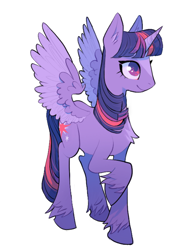 Size: 1060x1438 | Tagged: safe, artist:almost-casey, twilight sparkle, alicorn, pony, g4, chest fluff, ear fluff, female, mare, simple background, solo, spread wings, twilight sparkle (alicorn), two toned wings, unshorn fetlocks, white background, wings