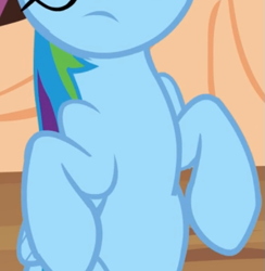 Size: 489x501 | Tagged: safe, screencap, rainbow dash, pegasus, pony, g4, testing testing 1-2-3, belly, cropped, female, golden oaks library, pictures of bellies, solo