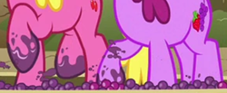 Size: 1448x599 | Tagged: safe, screencap, berry punch, berryshine, cherry berry, earth pony, pony, g4, on your marks, background pony, cropped, duo, female, food, grape stomping, grapes, hooves, legs, mare, pictures of legs, stomping