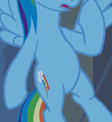 Size: 461x501 | Tagged: safe, screencap, rainbow dash, pegasus, pony, castle mane-ia, g4, belly, cropped, female, flying, open mouth, pictures of bellies, solo