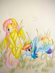 Size: 1920x2560 | Tagged: safe, artist:stardust0130, fluttershy, rainbow dash, pegasus, pony, g4, :d, blushing, colored pencil drawing, crossed hooves, duo, ear fluff, female, flying, grass, hair accessory, high res, mare, one eye closed, outdoors, pictogram, shy, smiling, spread wings, standing, traditional art, wings, wink