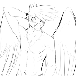 Size: 2400x2400 | Tagged: safe, artist:d-lowell, oc, oc only, oc:kalimu, griffon, anthro, arm fluff, belly fluff, chest fluff, clothes, grin, high res, looking at you, male, monochrome, nudity, partial nudity, simple background, sketch, smiling, solo, topless, white background