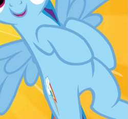 Size: 513x476 | Tagged: safe, screencap, rainbow dash, pegasus, pony, g4, what about discord?, belly, cropped, female, pictures of bellies, smiling, solo, spread wings, wings