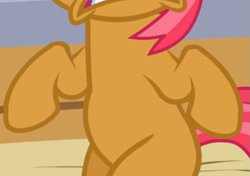 Size: 581x409 | Tagged: safe, screencap, babs seed, earth pony, pony, apple family reunion, g4, belly, cropped, female, pictures of bellies, sitting, solo
