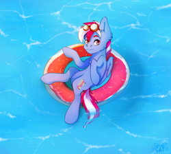 Size: 3800x3400 | Tagged: safe, artist:screaming cat, oc, oc only, oc:steam loco, pegasus, pony, commission, donut, floating, food, goggles, high res, inflatable, inner tube, looking at you, male, pegasus oc, pool toy, smiling, solo, swimming pool, wings, ych result