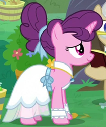 Size: 824x987 | Tagged: safe, screencap, mayor mare, sugar belle, pony, unicorn, g4, the big mac question, book, clothes, cropped, dress, female, mare, outfit catalog, solo, wedding dress