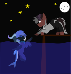 Size: 4326x4559 | Tagged: safe, artist:samsailz, oc, oc only, oc:illustratum, earth pony, original species, pony, shark, shark pony, dock, duo, horn, lending a hoof, lineless, moon, night, pier, stars, swimming, water