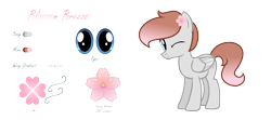 Size: 2000x885 | Tagged: safe, artist:darbypop1, oc, oc only, oc:blossom breeze, pegasus, pony, male, one eye closed, reference sheet, simple background, solo, stallion, transparent background, wink
