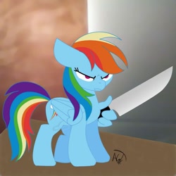Size: 600x600 | Tagged: safe, artist:noir-b, rainbow dash, pegasus, pony, g4, angry, delet this, female, knife, mare, solo, weapon, wing hands, wing hold, wings