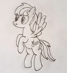 Size: 1045x1127 | Tagged: safe, artist:narcissistic fuck, oc, oc only, oc:blackgryph0n, pegasus, pony, blackgryph0n, mediocre, solo