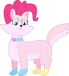 Size: 2237x2470 | Tagged: safe, artist:dupontsimon, pinkie pie, cat, fanfic:magic show of friendship, g4, catified, collar, cutie mark collar, fanfic art, high res, pinkie cat, simple background, solo, species swap, transformation, transparent background, vector