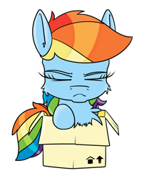 Size: 921x1100 | Tagged: safe, artist:dacaoo, rainbow dash, pony, g4, box, cheek fluff, chest fluff, female, pony in a box, simple background, solo, white background