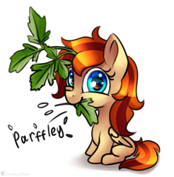 Size: 2349x2391 | Tagged: safe, artist:cornelia_nelson, oc, oc only, oc:cornelia nelson, pony, high res, simple background, solo, white background