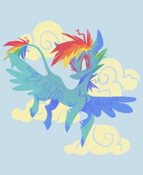Size: 1123x1378 | Tagged: safe, artist:astroeden, rainbow dash, pegasus, pony, g4, cloud, female, flying, leonine tail, solo
