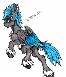 Size: 2488x2912 | Tagged: safe, artist:creature.exist, oc, oc only, oc:shinesky, pegasus, pony, high res, simple background, solo, traditional art, white background