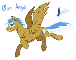 Size: 1280x1005 | Tagged: safe, artist:amiookamiwolf, oc, oc only, oc:blue angel, pegasus, pony, magical gay spawn, male, offspring, parent:braeburn, parent:soarin', parents:soarburn, simple background, solo, stallion, transparent background
