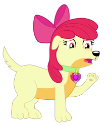 Size: 2465x2803 | Tagged: safe, artist:dupontsimon, apple bloom, dog, fanfic:magic show of friendship, equestria girls, g4, collar, cutie mark collar, dogified, fanfic art, female, high res, puppy bloom, solo, species swap, transformation, vector