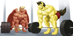 Size: 2048x1024 | Tagged: safe, artist:ponyanony, oc, oc only, oc:cross, oc:flex, earth pony, pegasus, anthro, unguligrade anthro, abs, barbell, biceps, bodybuilder, clock, clothes, deltoids, duo, earth pony oc, gritted teeth, gym, male, muscles, partial nudity, pecs, pegasus oc, shorts, stallion, sweat, thighs, thunder thighs, topless, triceps, vein, weight lifting, weights, wings