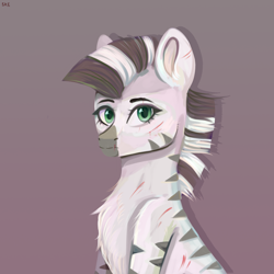 Size: 2000x2000 | Tagged: safe, artist:ske, oc, oc only, oc:xenith, pony, zebra, fallout equestria, gradient background, high res, scar, solo