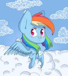 Size: 2700x3000 | Tagged: safe, artist:ranillopa, rainbow dash, pegasus, pony, g4, cloud, digital art, female, high res, hooves, looking at you, mare, sky, solo, spread wings, wings