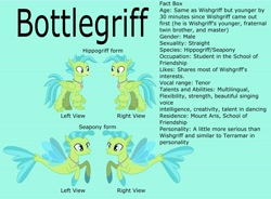 Size: 7458x5477 | Tagged: safe, artist:ethanjacobsyrosca, oc, oc only, oc:bottlegriff, classical hippogriff, hippogriff, seapony (g4), g4, absurd resolution, crystal, green background, hippogriff oc, male, recolor, reference sheet, simple background, smiling, solo, twitterponies, vector