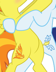 Size: 1959x2508 | Tagged: safe, artist:benybing, edit, vector edit, soarin', spitfire, pegasus, pony, g4, belly, bipedal, blushing, duo, female, high res, holding each other, male, pictures of bellies, ship:soarinfire, shipping, show accurate, simple background, straight, transparent background, vector
