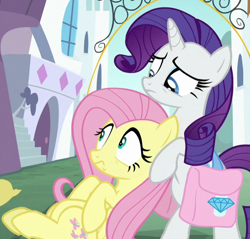 Size: 658x630 | Tagged: safe, screencap, fluttershy, rarity, g4, the ending of the end, bag, cropped, saddle bag