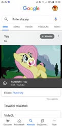 Size: 720x1480 | Tagged: safe, screencap, fluttershy, pegasus, pony, g4, barely pony related, google, google search, hungarian, hungary, meme, photo, xd