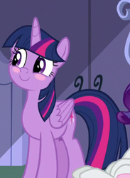 Size: 438x598 | Tagged: safe, screencap, rarity, twilight sparkle, alicorn, pony, g4, the ending of the end, blushing, cropped, cute, twiabetes, twilight sparkle (alicorn)