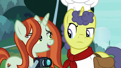 Size: 1280x720 | Tagged: safe, screencap, crackle cosette, queen chrysalis, stove comet, pony, unicorn, g4, the ending of the end, bag, camera, disguise, disguised changeling, female, male, mare, saddle bag, stallion