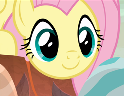 Size: 1210x939 | Tagged: safe, screencap, fluttershy, pegasus, pony, g4, sweet and smoky, close-up, cropped, cute, female, shyabetes, smiling, solo