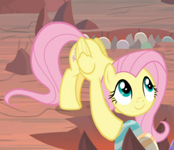 Size: 616x532 | Tagged: safe, screencap, fluttershy, pegasus, pony, g4, sweet and smoky, cropped, crouching, cute, egg, female, looking up, shyabetes, smiling, solo
