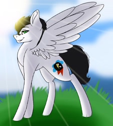 Size: 1490x1658 | Tagged: artist needed, safe, oc, oc only, oc:skysprinter, pegasus, pony, grass, looking at you, male, outdoors, sky, solo, stallion, sunshine