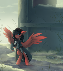 Size: 3000x3386 | Tagged: safe, artist:neonishe, oc, oc only, oc:crimson swift, pegasus, pony, clothes, commission, high res, male, outdoors, pegasus oc, solo, spread wings, wings