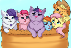 Size: 3000x2034 | Tagged: safe, artist:kittytitikitty, applejack, fluttershy, pinkie pie, rainbow dash, rarity, twilight sparkle, cat, g4, applecat, catified, cute, female, fluttercat, high res, looking at you, my little x, pinkie cat, rainbow cat, raricat, sketch, species swap, twilight cat