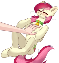 Size: 2344x2508 | Tagged: safe, artist:chibadeer, roseluck, human, pony, behaving like a cat, chest fluff, collar, commissioner:doom9454, cute, ear fluff, eyes closed, fluffy, hand, human on pony petting, lying down, on back, pet tag, petting, pony pet, purring, rosepet, simple background, white background