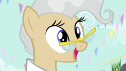 Size: 1280x720 | Tagged: safe, screencap, mayor mare, earth pony, pony, g4, simple ways, female, glasses, mare, solo
