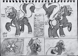 Size: 1939x1386 | Tagged: safe, artist:reekosukanku, oc, oc:reeko, pony, skunk, skunk pony, black and white, butt, butt fluff, cutie mark, front view, full body, grayscale, large butt, lying down, male, monochrome, original character do not steal, part 1, plot, raised hoof, raised tail, rear view, reference sheet, skunk stripe, tail, thick, traditional art, two toned hair