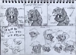 Size: 1946x1408 | Tagged: safe, artist:reekosukanku, oc, oc:reeko, earth pony, pony, skunk, skunk pony, black and white, bust, cute, daaaaaaaaaaaw, emotions, expressions, fangs, front view, grayscale, innocent, messy mane, monochrome, part 2, portrait, puppy dog eyes, reference sheet, rough sketch, side view, snout, three quarter view, traditional art, white mane