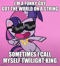 Size: 500x546 | Tagged: safe, edit, edited screencap, screencap, twilight sparkle, alicorn, pony, g4.5, my little pony: pony life, sportacular spectacular musical musak-ular, bipedal, caption, cropped, dancing, dee dee king, dee dee ramone, female, funky man, image macro, jewelry, necklace, open mouth, pose, solo, sunglasses, text, twilight sparkle (alicorn)
