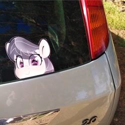 Size: 794x794 | Tagged: safe, artist:partypievt, octavia melody, earth pony, pony, g4, anime, anime eyes, bumper sticker, car, eye clipping through hair, eyebrows, eyebrows visible through hair, ford, ford focus, irl, looking at you, peeking, photo, solo